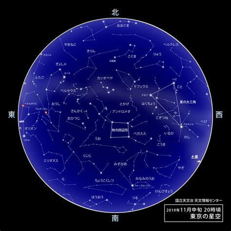 11月11日是什麼星座|11月份是什么星座